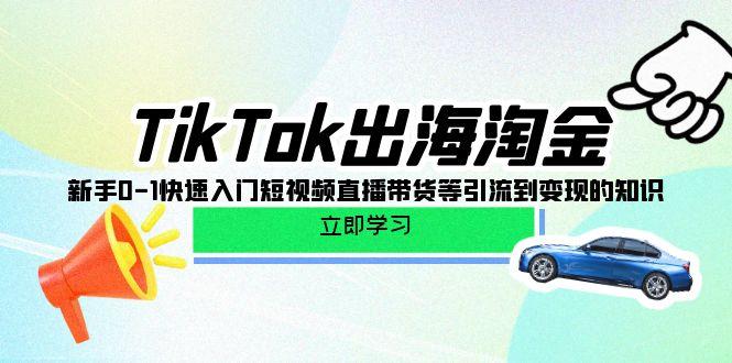 (10035期)TikTok-出海淘金，新手0-1快速入门短视频直播带货等引流到变现的知识-heixxmi