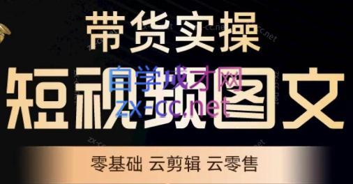 鑫哥·2024零基础短视频带货实操营-heixxmi