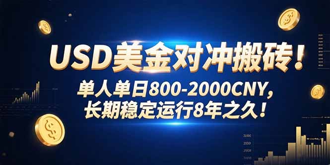 USD美金对冲搬砖!单人单日800-2000CNY，长期稳定运行8年之久!-heixxmi