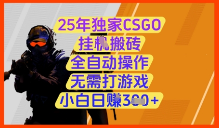 25年独家CSGO挂G搬砖，全自动操作，无需打游戏，小白日入3张+【揭秘】-heixxmi