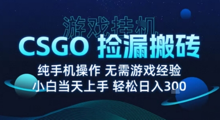 8月最新游戏搬砖，CSGO纯挂G，不需要玩游戏，实现真挂G，月入1W+【揭秘】-heixxmi