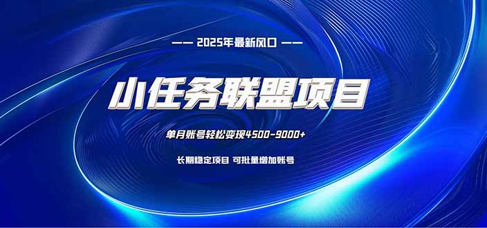 小任务联盟项目：一台电脑每天只需10分钟，轻松简单稳定-heixxmi