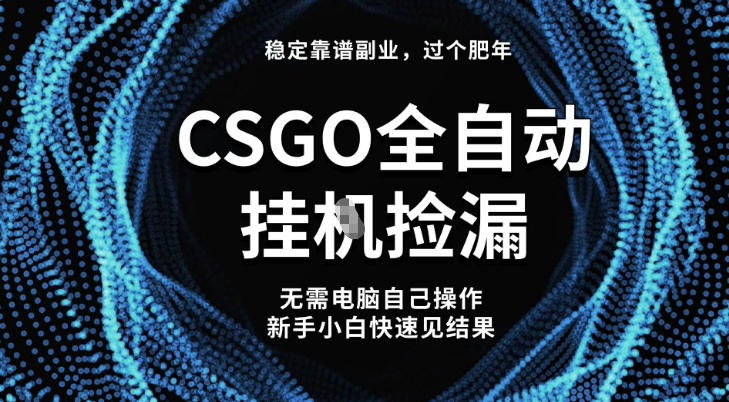 【稳定副业】全球最热门游戏CSGO全自动捡漏，最新玩法，新手小白日入5张+【揭秘】-heixxmi