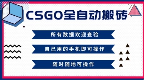 CSGO全自动搬砖，年底钱回家好项目，当天可拿到结果，新手小白轻松月入1W+【揭秘】-heixxmi