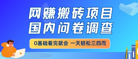 网创搬砖项目，国内问卷调查，小白轻松上手，一天三四张的也不难，干就完了【揭秘】-heixxmi