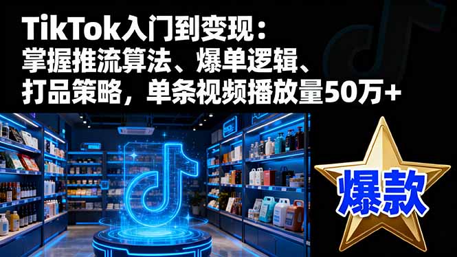 TikTok入门到变现：掌握推流算法、爆单逻辑、打品策略，单条视频播放量50w-heixxmi