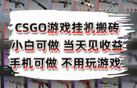 CSGO游戏挂G搬砖，小白纯手机即可操作，不用电脑打游戏，日入3张+，副业网创项目【揭秘】-heixxmi