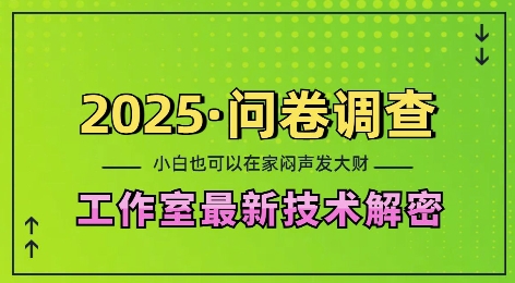 2025问卷调查最新工作室技术解密：一个人在家也可以闷声发大财，小白一天2张，可矩阵放大【揭秘】-heixxmi