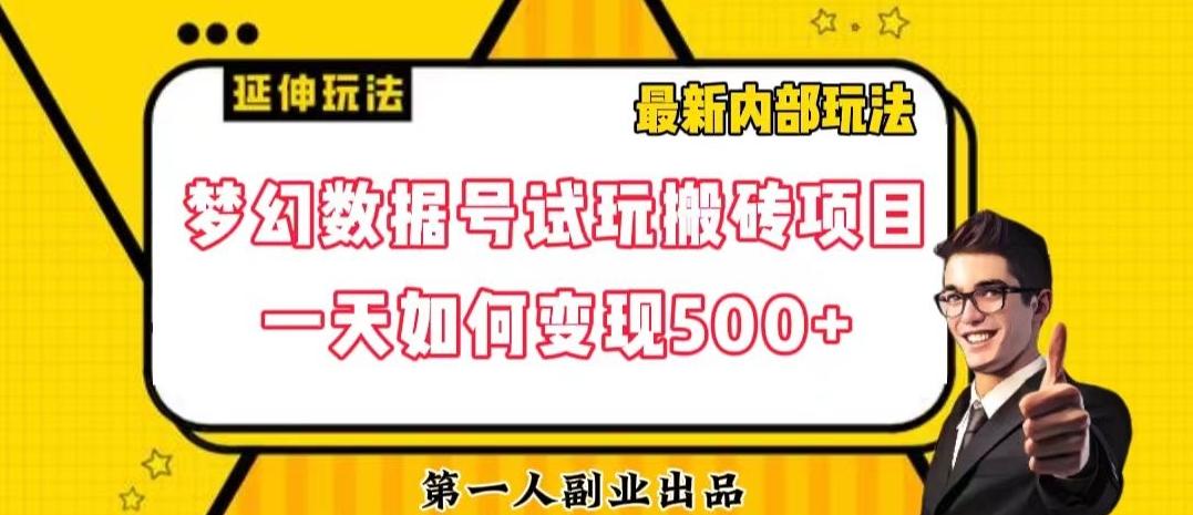 数据号回归玩法游戏试玩搬砖项目再创日入500+【揭秘】-heixxmi
