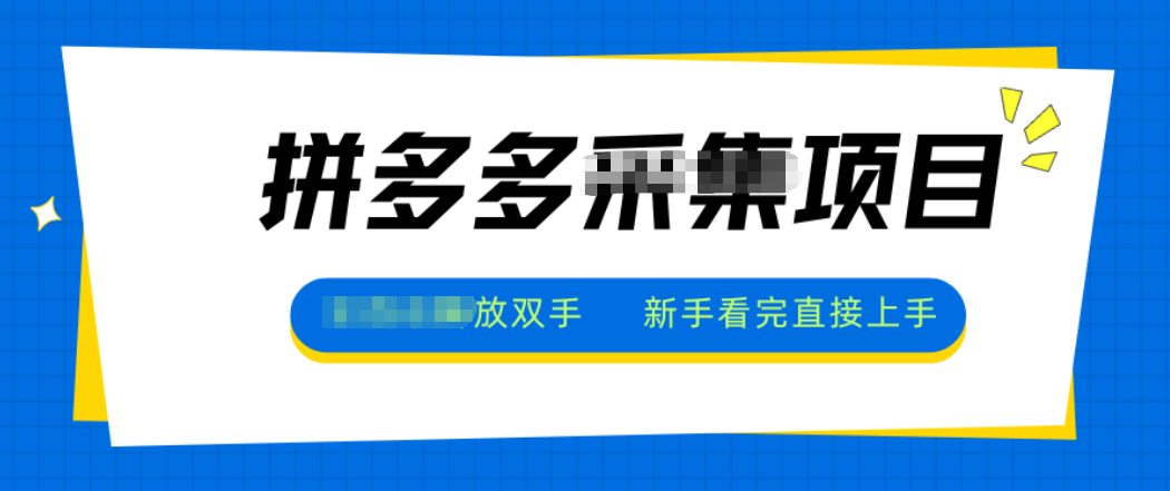 拼多多电商采集，一小时50+，操作简单，零投资-heixxmi
