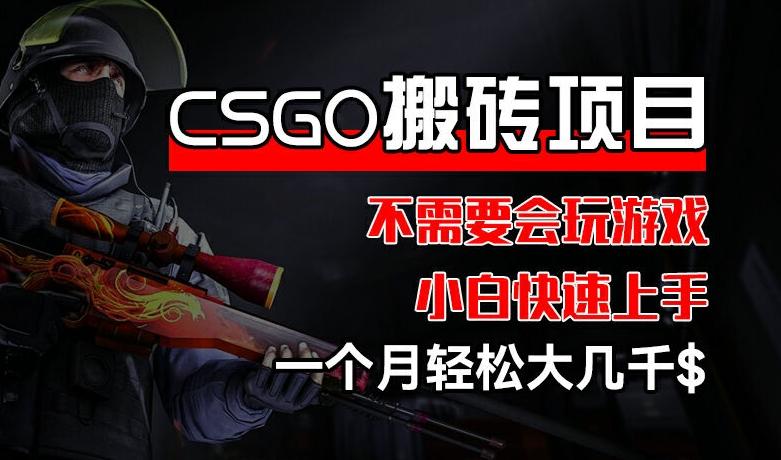 CSGO 装备搬砖项目，操作简单，不需要会玩游戏，小白也能快速上手，一个月轻松大几千【揭秘】-heixxmi