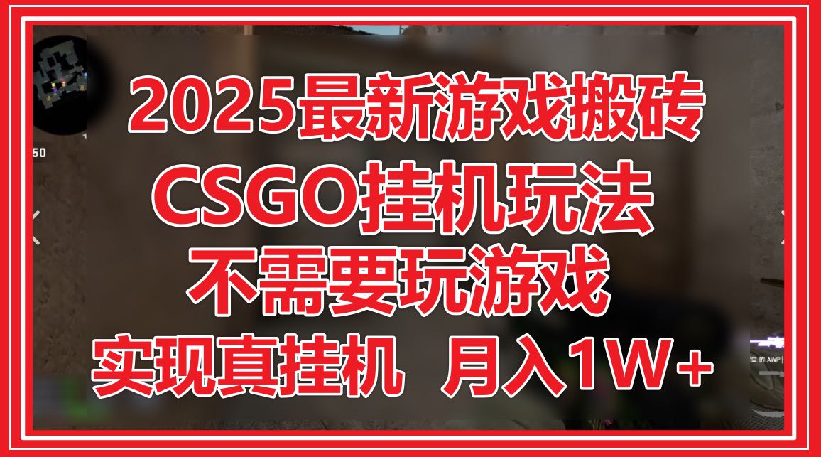 2025最新游戏搬砖，CSGO挂机，不需要玩游戏，实现真挂机，月入1W+-heixxmi