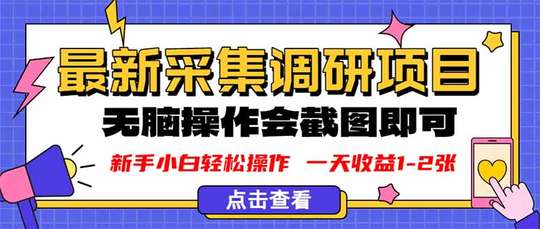 新版采集调研项目，截图上传即可，无脑操作，日收益1-2张-heixxmi