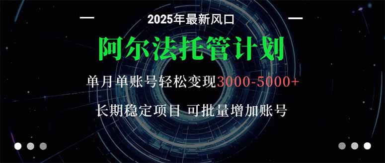阿尔法托管计划 单账号月入3000-5000，长期稳定项目，新手小白轻松上手。-heixxmi