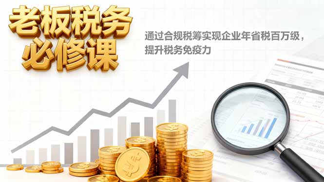 老板税务必修课，通过合规税筹实现企业年省税百万级，提升税务免疫力-heixxmi