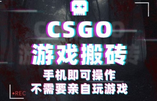 CSGO游戏挂G捡漏，单日扫货5张+，年底小高峰上车可吃肉，手机即可操作，兼职副业创业网创【揭秘】-heixxmi