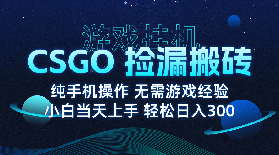 8月最新游戏搬砖，CSGO纯挂机，不需要玩游戏，实现真挂机，月入1W+-heixxmi