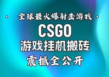 【年底大揭秘】基于全球最火爆的射击CSGO游戏挂G搬砖，日入5张+，震撼公开-heixxmi