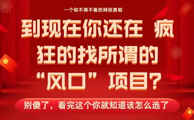 马上26年了，你还在找所谓的风口项目？别傻了，看完这个你全都懂了！【揭秘】-heixxmi