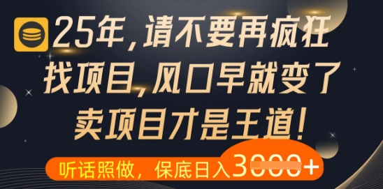 什么？25年你还在疯狂找项目做，醒醒吧，看完这些你全都懂了【揭秘】-heixxmi
