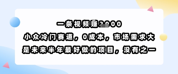 一条视频挣1k，小众冷门赛道，0成本，市场需求大，是未来半年最好做的项目，没有之一-heixxmi