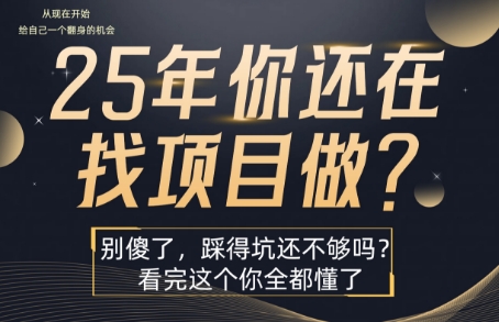 25年，你还在疯狂的找项目吗？别傻了，看完这个你都懂了【揭秘】-heixxmi