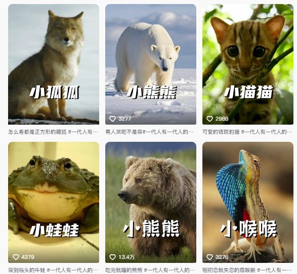 最新搞笑动物百科详细解说课程，蓝海赛道，流量非常大，轻松签独家进精选