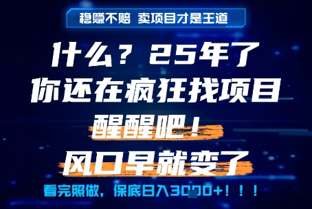 什么？25年你还在疯狂找项目做，醒醒吧，看完这些你全都懂了！【揭秘】-heixxmi