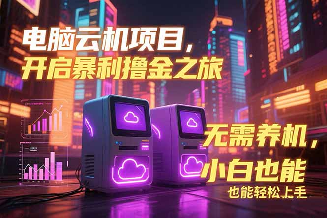 电脑云机项目 暴力撸金玩法，不需要养机 配置没有要求 单机100个窗口一...-heixxmi