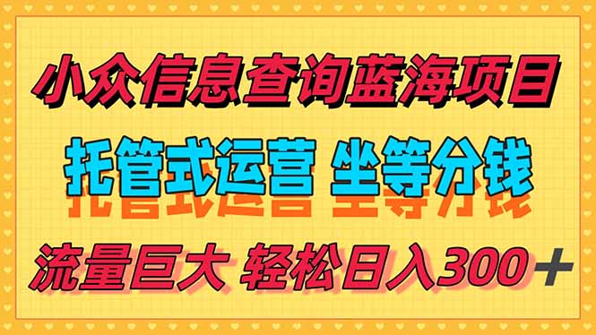 稳定日入300＋，小众信息查询蓝海项目，全程懒人式托管，解放你的时间-heixxmi