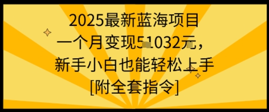2025最新蓝海项目一个月变现1w+新手小白也能轻松上手【附全套指令】-heixxmi