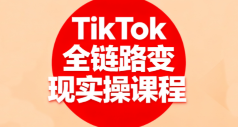 小杨老师·TikTok全链路变现实操课程-heixxmi
