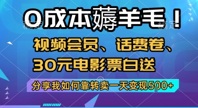 0成本薅羊毛!视频会员、话费卷、30元电影票白送，分享我如何靠转卖一天变现5张+【揭秘】-heixxmi