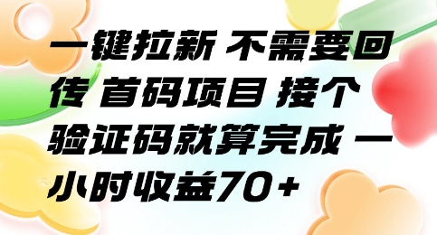 一键拉新 不需要回传 首码项目 接个验证码就算完成 一小时收益70+【揭秘】-heixxmi