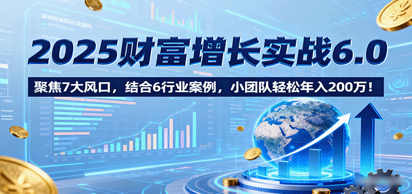 2025财富增长实战6.0，聚焦7大风口，结合6行业案例，小团队轻松年入200万！-heixxmi