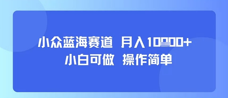 小众蓝海赛道，小白可做，操作简单，每天30分钟，月入1W+-heixxmi