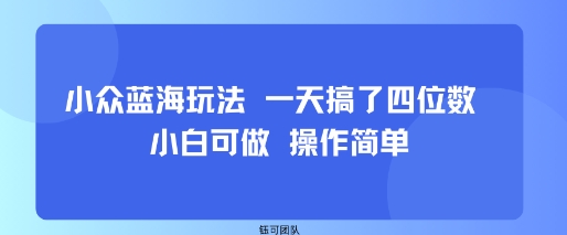 小众蓝海玩法 一天搞了四位数 小白可做 操作简单-heixxmi