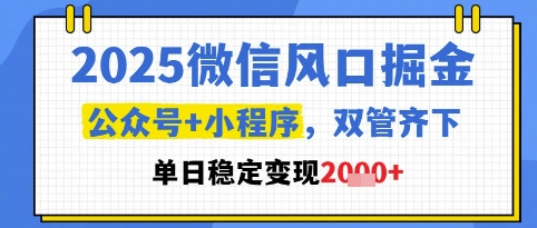 2025微信风口掘金，公众号+小程序双管齐下，单日稳定变现1k+【揭秘】-heixxmi