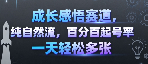 成长感悟赛道，纯自然流，百分百起号率 一天轻松多张-heixxmi