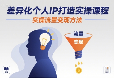 差异化个人IP打造实操课程，实操流量变现方法-heixxmi
