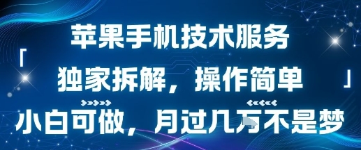 苹果手机技术服务，独家拆解，操作简单，小白可做，月过1W不是梦-heixxmi