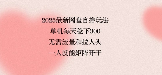 2025最新网盘自撸玩法，单机每天稳下3张，无需流量和拉人头，一个人就可轻松矩阵，全网独一份【揭秘】-heixxmi