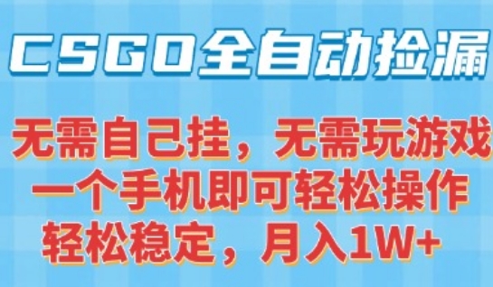 CSGO自动捡漏项目，最新独家玩法，一个手机可操作，新手小白轻松月入1W+，操作简单易上手【揭秘】-heixxmi