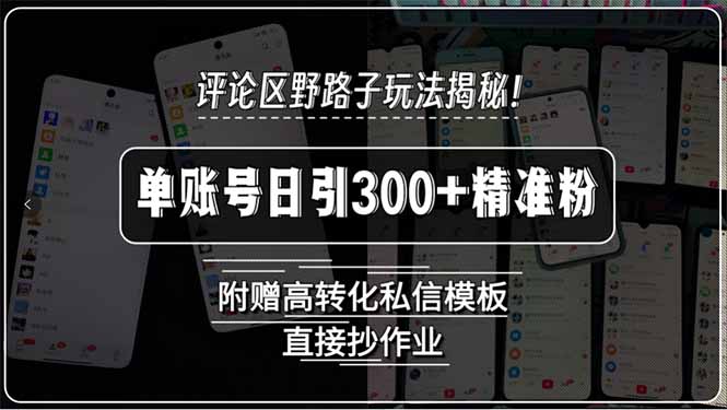 评论区野路子玩法揭秘！单账号日引300+精准粉，附赠高转化私信模板，直...-heixxmi
