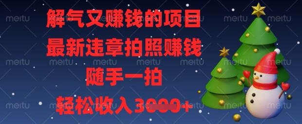 解气又挣钱的项目，最新违章拍照挣钱，随手一拍，轻松收入数张【揭秘】-heixxmi