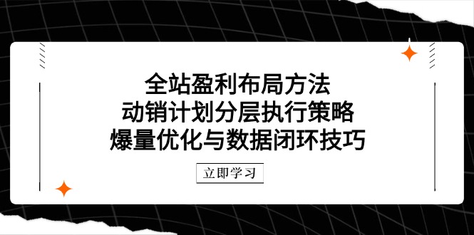 全站盈利布局方法：动销计划分层执行策略，爆量优化与数据闭环技巧-heixxmi