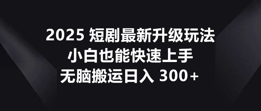 2025短剧最新升级玩法，小白也能快速上手，无脑搬运日入300+-heixxmi