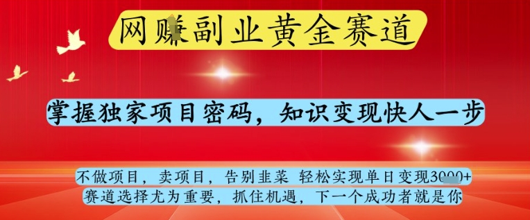 网创副业黄全赛道，掌握独家项目密码，知识变现快人一步，告别韭菜轻松实现单日变现1k+【揭秘】-heixxmi