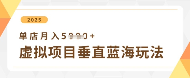 虚拟项目垂直玩法，实现单店月入5k+-heixxmi