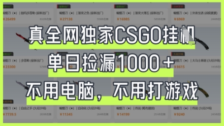 真全网独家CSGO挂G，单日捡漏1k+【揭秘】-heixxmi